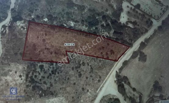 Çeşme Musalla'da Satılık Yatırıma Uygun Tarla