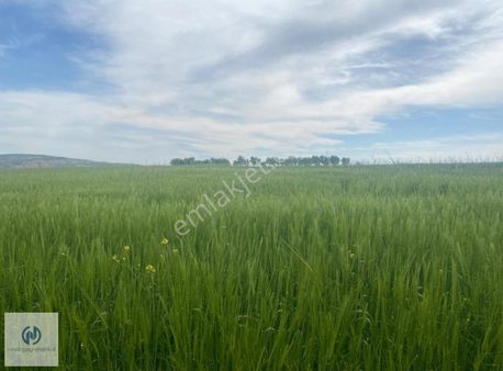 **nova** Batıkent Mah. De Satılık 292 M2 2 Kata İmarlı Arsa