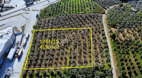 Cb Everest'ten Engürücükte Satılık Ticari İmarlı Arsa