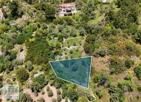 Marin'den Mesudiye'de Kadasral Yola Cepheli Satılık Tarla