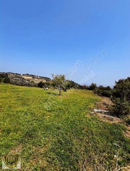 Brn Emlak'tan Resul Köyün'de 7dönüm 140m2 Acil Satılık Arsa