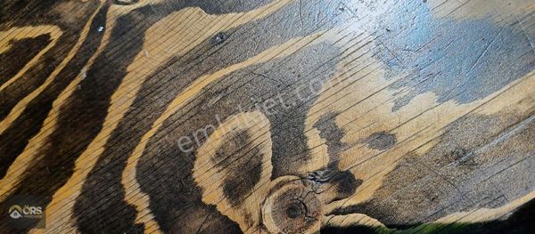 Örs Gayrimenkul'den Yüksek Cirolu Kurulu Düzen Dubleks Kafe