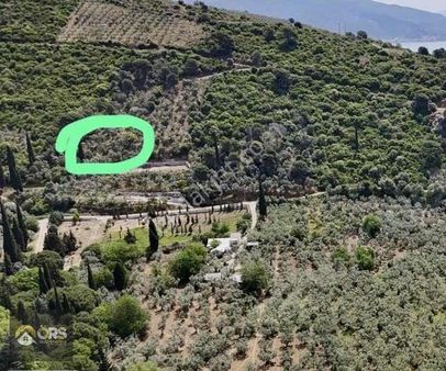 Narlı'da Denize Yakın Mesafe'de Satılık Tarla