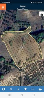 Kartanesi Emlaktan 14 Dönüm Ceviz Bahçesi Satılıktır