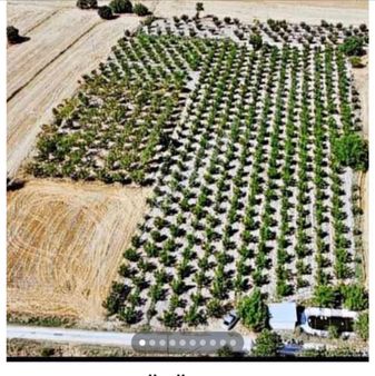 Tarla Değil Fabrika...