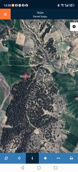 Bozkurt Tutluca Dönümü 100.000₺