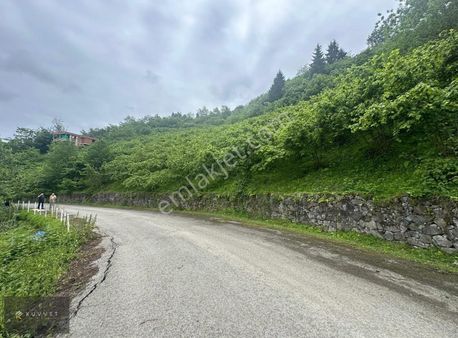 Kuvvet Emlak'tan Yeşilovada Satılık Arsa