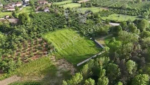 Düzce Merkez Yaka Köyü 4555 M² Satılık Tarla