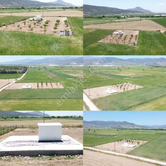 Yeşilyaylada Satılık Subasmanı Mevcut Bahçe