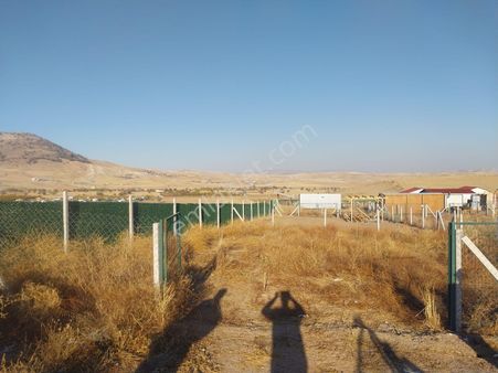 Ankara Ayaş Gökler Taşkıran Mevkii 298.32 Metre Satılık Hobi Bahçesi