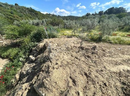 Sarıgöl Avşar Mahallesinde Her Türlü Kullanıma Uygun