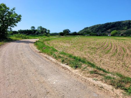 Karasu Tuzla Mahallesinde Satılık 9.5 Dönüm Tarla