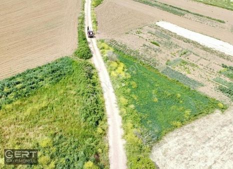 Ert Gayrimenkul-kayrancıkta Köy Merkezine Yakın 830 M2 Tarla