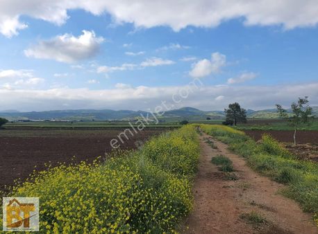 Baytürk Gayrimenkulden Yenişehir Barçın'da Satılık Verimli Tarla