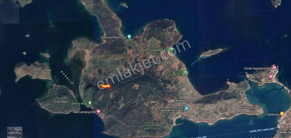 Ayvalık Cunda Da Satılık 3,7 Dönüm Zeytinlik