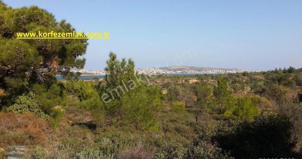 Balıkesir Ayvalık Sarımsaklı Da Satılık 24 Donum Arsa.