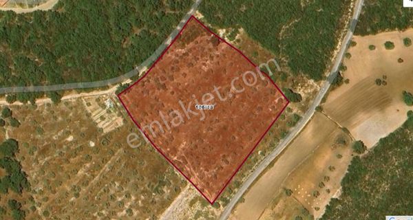 Elvan Özçelik'den Kazıklıbucak'da Denize Çok Yakın Satılık Fırsat Tarla