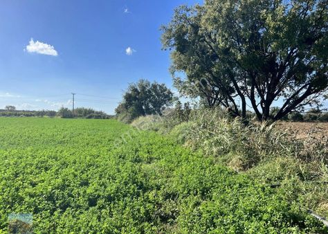 Balıkesir Gömec Te Satılık 25 Dönüm Tarla.