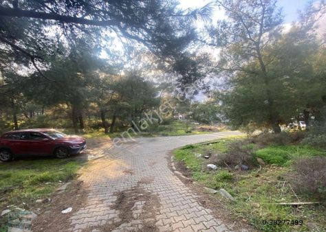 Balıkesir Ayvalık Camlık Ta Satılık 1540 Metre Kare Arsa