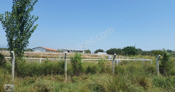Balıkesir Burhaniye De Satılık Modern At Ciftliği