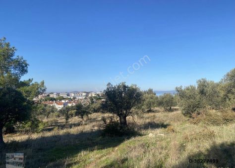 Balıkesir Ayvalık Ta Satılık 10,754 Metre Kare Konut-turizm İmarlı Arsa