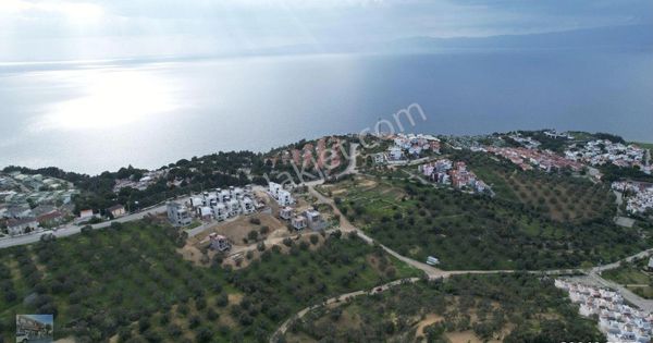 Balıkesir Burhaniye Pelitköy De Satılık 12 Donum Arsa.