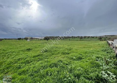 Balıkesir Ayvalık Ta Satılık 46 Donum Arsa