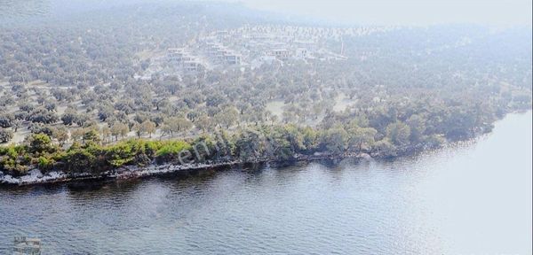 Balıkesir Gömeç Te Satılık 4,000 Metre Kare Villa İmarlı Arsa