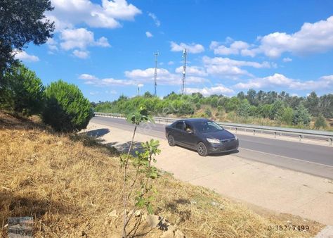 Balıkesir Burhaniye Pelitköy De Satılık 6 Donum Zeytinlik
