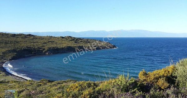Balıkesir Ayvalık Cunda Da Satılık 45.000 Metre Kare Arsa.