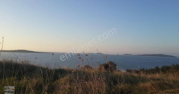 Balıkesir Ayvalık Sarımsaklı Da Satılık 21 Donum Arsa.