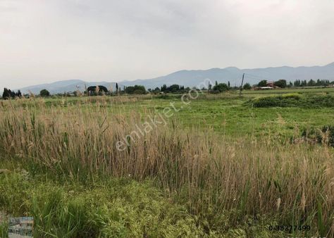 Balıkesir Burhaniye Coruk Ta 26,535 Metre Kare Muhtelif İmarlı Arsa..anayola 160 Metre Cepheli..