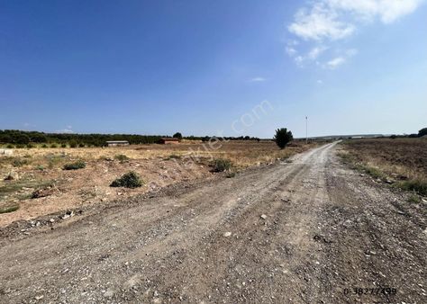 Ayvalık Ta Satılık 26,840 Metre Kare Tarla.icinde Bina Vardır