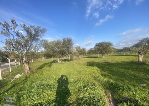 Balıkesir Ayvalık Ta Satılık 17,428 Metre Kare Arsa