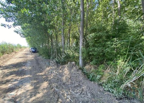 Balıkesir Edremit Te Satılık 110,650 Metre Kare Tarla.