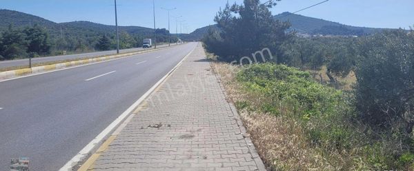 Balıkesir Burhaniye De Satılık 10,593 Metre Kare İmarlı Arsa.