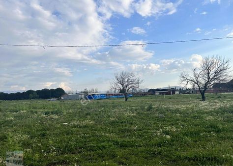 Balıkesir Burhaniye De Satılık 9,183 Metre Kare Arsa.