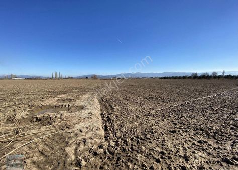 Balıkesir Burhaniye De Satılık 74.000 Metre Kare Tarla