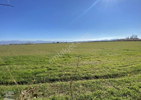 Balıkesir Burhaniye De Satılık 75 Donum Arsa.imara Bitişik