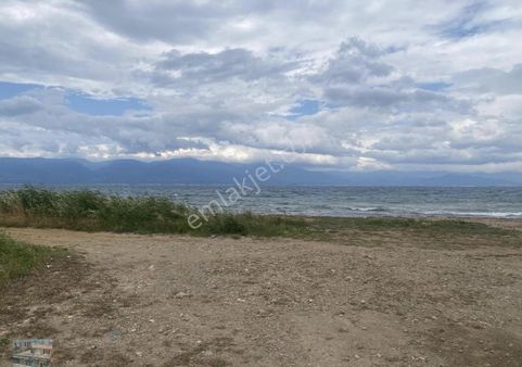Balıkesir Burhaniye Pelitköy De Satılık 2,281 Metre Kare Villa İmarlı Arsa.denize Sıfır