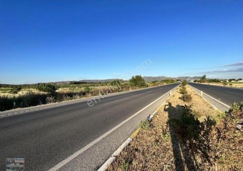 Balıkesir Ayvalık Altınova Da Satılık 23,726 Metre Kare Tarla.