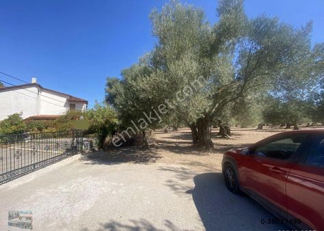 Balıkesir Ayvalık Ta Satılık 43 Donum Muhtelif İmarlı Arsa.