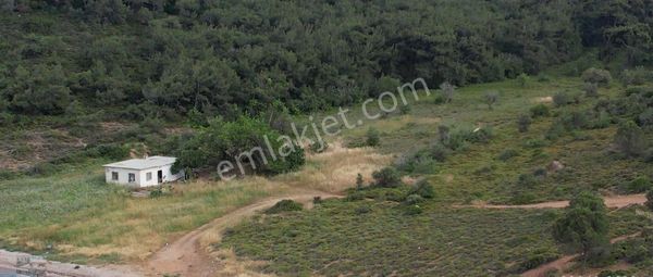 Balıkesir Ayvalık Kucukkoy De Satılık 13,775 Metre Kare Arsa.denize Sıfır