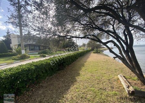 Balıkesir Ayvalık Ta Satılık Muhtesem Villa.denize Sıfır.