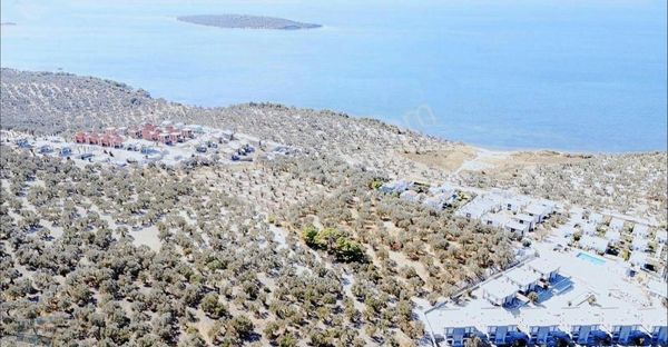 Balıkesir Gömeç Te Satılık 3,716 Metre Kare Villa İmarlı Arsa