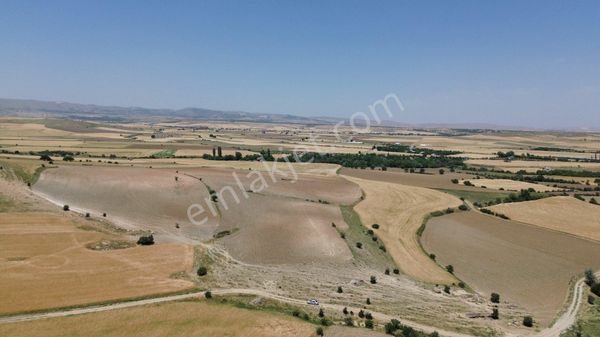 Ümit Emlak’tan Nekerekte Köy Merkezine Yakın Emsalsiz 23.404m2 Bahçelik