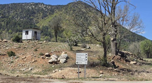 Altınyayla Ballık Maşta Yoluna Sıfır 1144 M2 Tarlamız Satılıktır