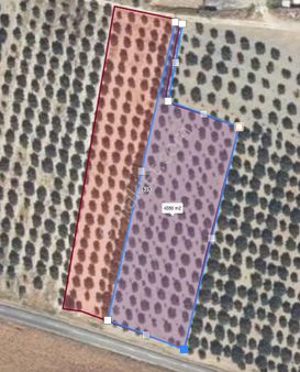 Akhisar Eroğlu'nda Zeytinliova Yolu Üzeri Asvalt Kenarı Satılık Zeytinlik