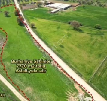 Ali Türk Gayrimenkulden Burhaniye Şahinler Mahallesinde Satılık Tarla