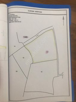 Kestel Babasultanda Araziler